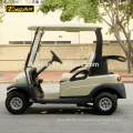 Luxus 2-Sitzer elektrische Golfwagen Trojan Batterie Club Buggy Auto Golfwagen
